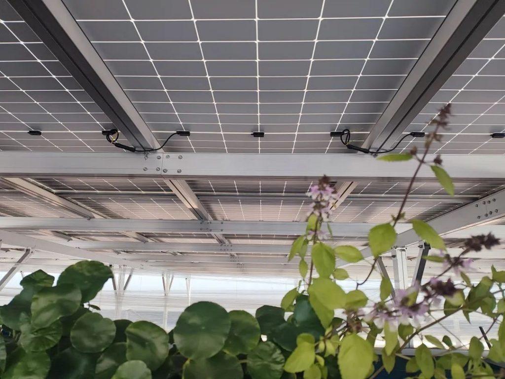 AG�콢��(�й�)�ٷ���վ����